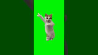 Download lagu kucing joget Green screen #meme #memekucing mp3 Download lagu kucing joget Green screen #meme #memekucing mp3