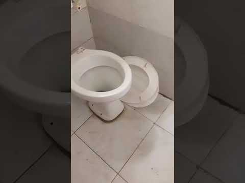 Room Self-Contained Apartment for Rent at Folagoro Road, Yaba