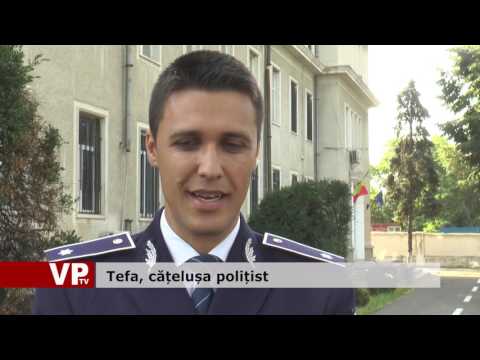 Tefa, cățelușa polițist