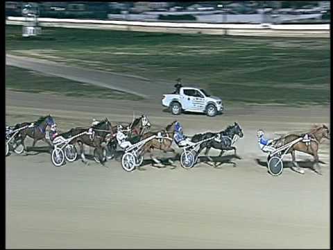 Trotto 31/01/2017 - 5ª corsa