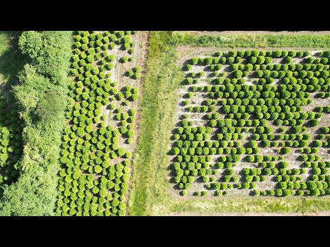 2022-06-19 - Drone Test Flight