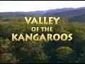 National Geographic Valley Of The Kangaroos 1992
