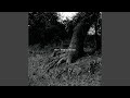 Intro