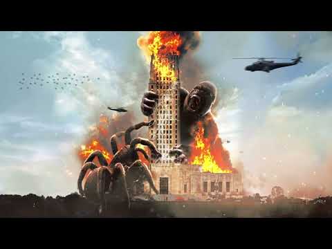 Fredo Bang x TEC ft. JayDaYoungan - Wyd (Visualizer)