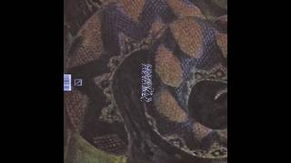 Rainforest Spiritual Enslavement - Jungle is a Shapeshifter