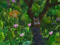 Jungle Book Italian