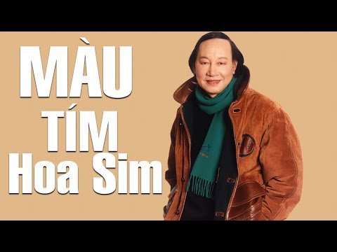 Màu tím hoa sim Sheet - Duy Khánh