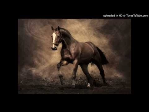 Today's Tango Is... El Flete - Francisco Canaro 07-03-1928