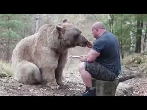 Man Vs Bear | Moscow Russia | Wayne Howlett | Ajt Skull Ring
