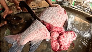 Giant Catla Fish Cutting ASMR in Bangladesh Market (Massive 18 KG Katla Fish)