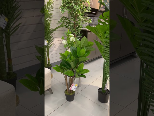 Vídeo relacionado con Calcifer 24.41 "girasoles Artificial grande para el hogar jardín fiesta boda decoración, Cantidad: 1 unidad, Amarillo, Package Quantity: 1 Pcs