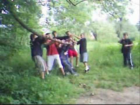 Salto Fail