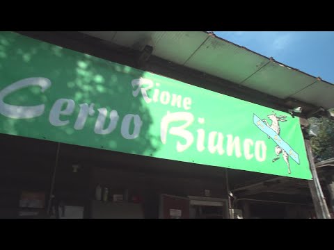 Giostra dell'orso: Il cervo Bianco