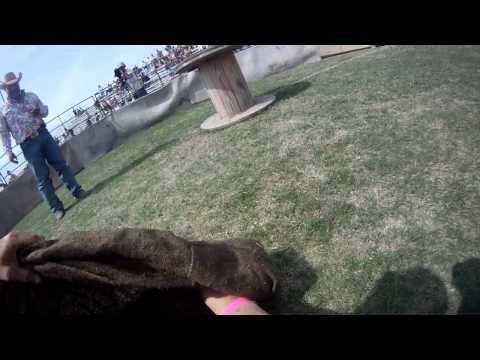 2011 Wild Hog Catching World Championships and Festival