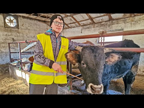 Pao sa 30 metara i preživio, sada se zove Zemlja Zrak