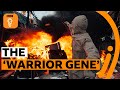 Can Your Genes Make You Violent BBC Ideas