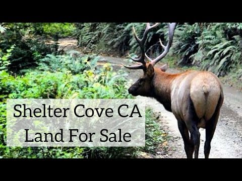 image-Is it safe to live in Shelter Cove CA?