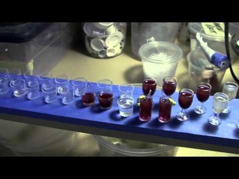 Crafting Anomalisa - Movie Featurette