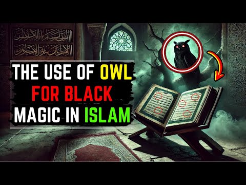The Connection Between Owls and Black Magic in Islamic Culture
