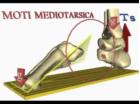 Trattamento ernia intervertebrale della Yoga lombare Che di striscio alla schiena per il dolore