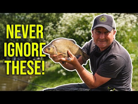 CATCH MORE FISH WHEN FEEDER FISHING! Carp or Bream? | Method or Cage? | Long or Short?