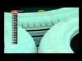 Hiina GP 2010 - 1. vabatreening, Sebastian Buemi õnnetus