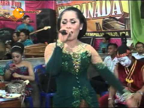 Tembang Tresno ( Arya KDR ) Java musik Campursari Supra Nada Live Secang
