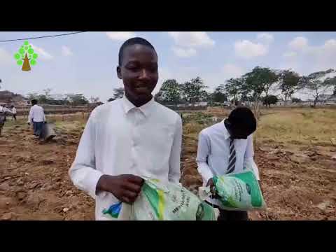 PALABANA DAY SECONDARY SCHOOL PFUMVUDZA PROJECT LAND PREPARATIONS AND PLANTING
