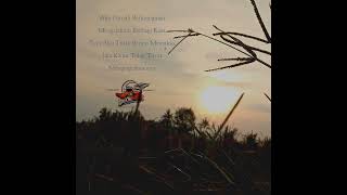 Download lagu story' wa penipu hati mp3 Download lagu story' wa penipu hati mp3