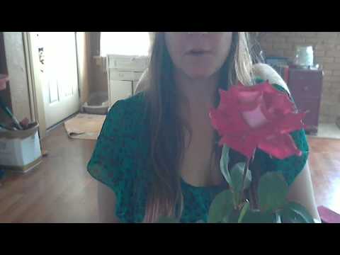 🏡  Rose "Love" Grandiflora