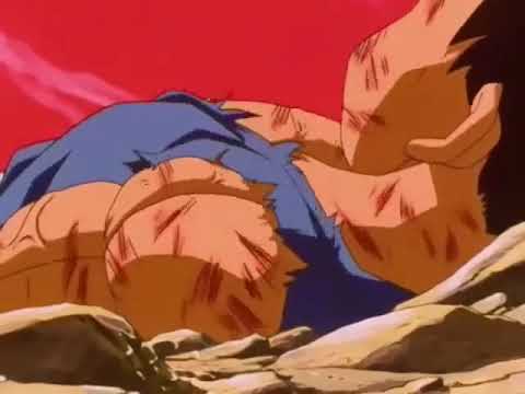 Valenciano ve como llaman paella al arroz con cosas