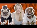 Famous Dog Wedding Superstar Shetland Sass UNTAMED BEANO XL