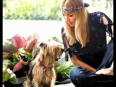 California Dreamin' of Sharon Tate