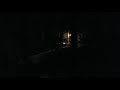 Bobcat Scream In Woods