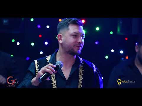 Alin Ghiran - TANTO caii mei sa moara Live 2024  Contact : 0762178037