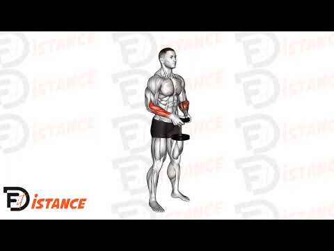 Torsion des mains debout avec haltères - Exercice Torsion des mains debout avec haltères en vidéo
