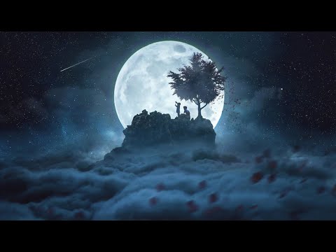 Radical Fantasy & Amir Telem - Night Of The Stars [Organic House]