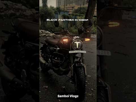 TVS ronin 225 Black Panther ☠️ #ronin #tvs #tvsronin225 #blackpanther #edit