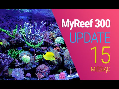(165) MyReef 300 / Update / 15 miesiąc - Akwarium morskie - Reef aquarium