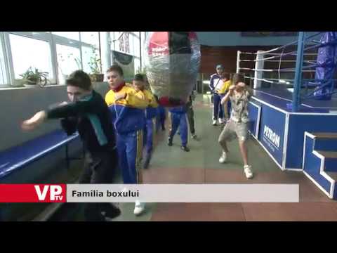 Familia boxului