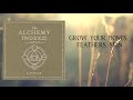 Thrice - As The Crow Flies (Lyric Music Video)