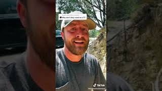 Daddy long-legs swarm man (rare tiktok) #shorts