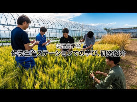 先端経営学科 作物生産ステーションでの学び、研究紹介　｜　酪農学園大学　循環農学類　学類紹介