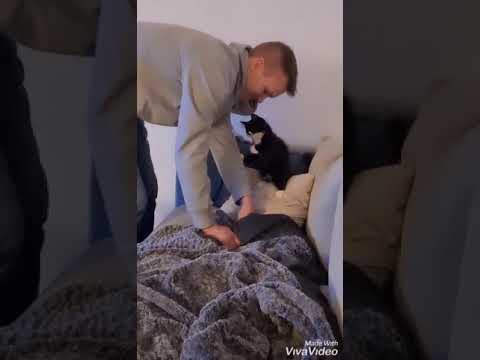 Julledigheten! || eelyy.blogg.se