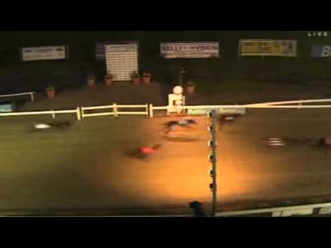 BETTOR.com PETERBOROUGH Puppy Derby FINAL 2012 - Part 1 of 2