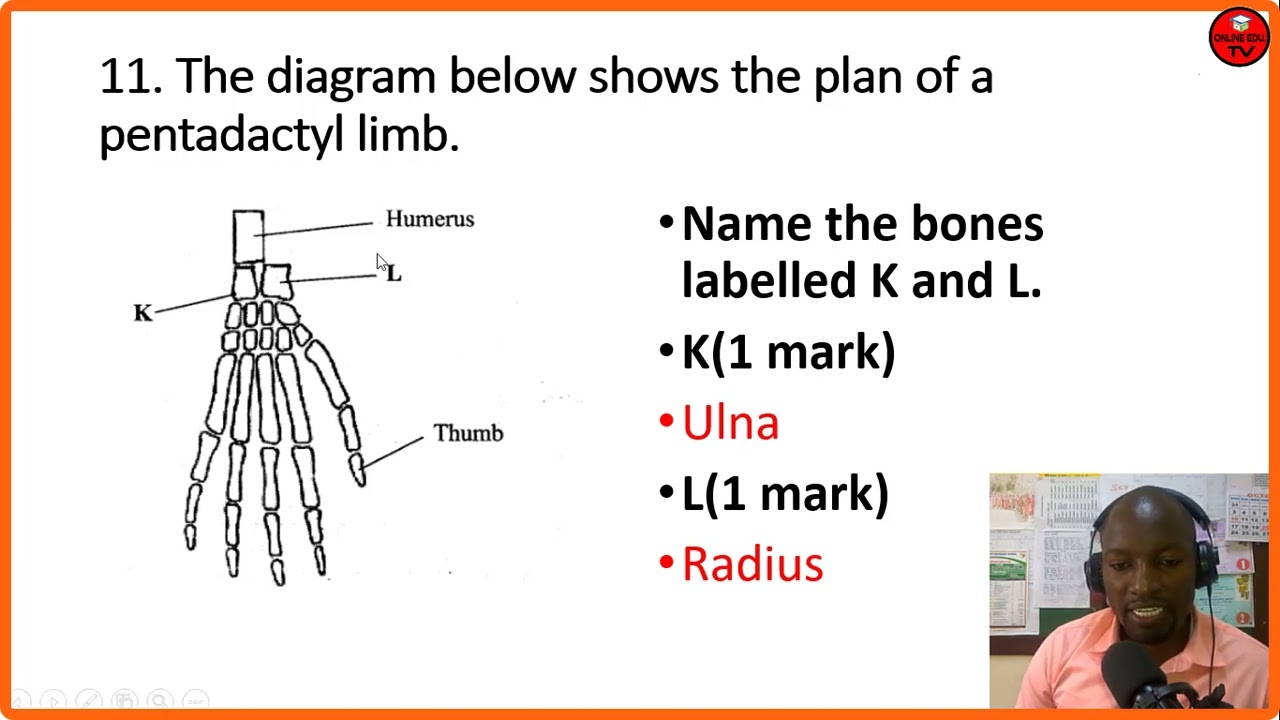 Biology Paper 1 Que & Ans KCSE 2020|KCSE Paper 1| Biology Revision KCSE 2020 | Biology Revision 2020