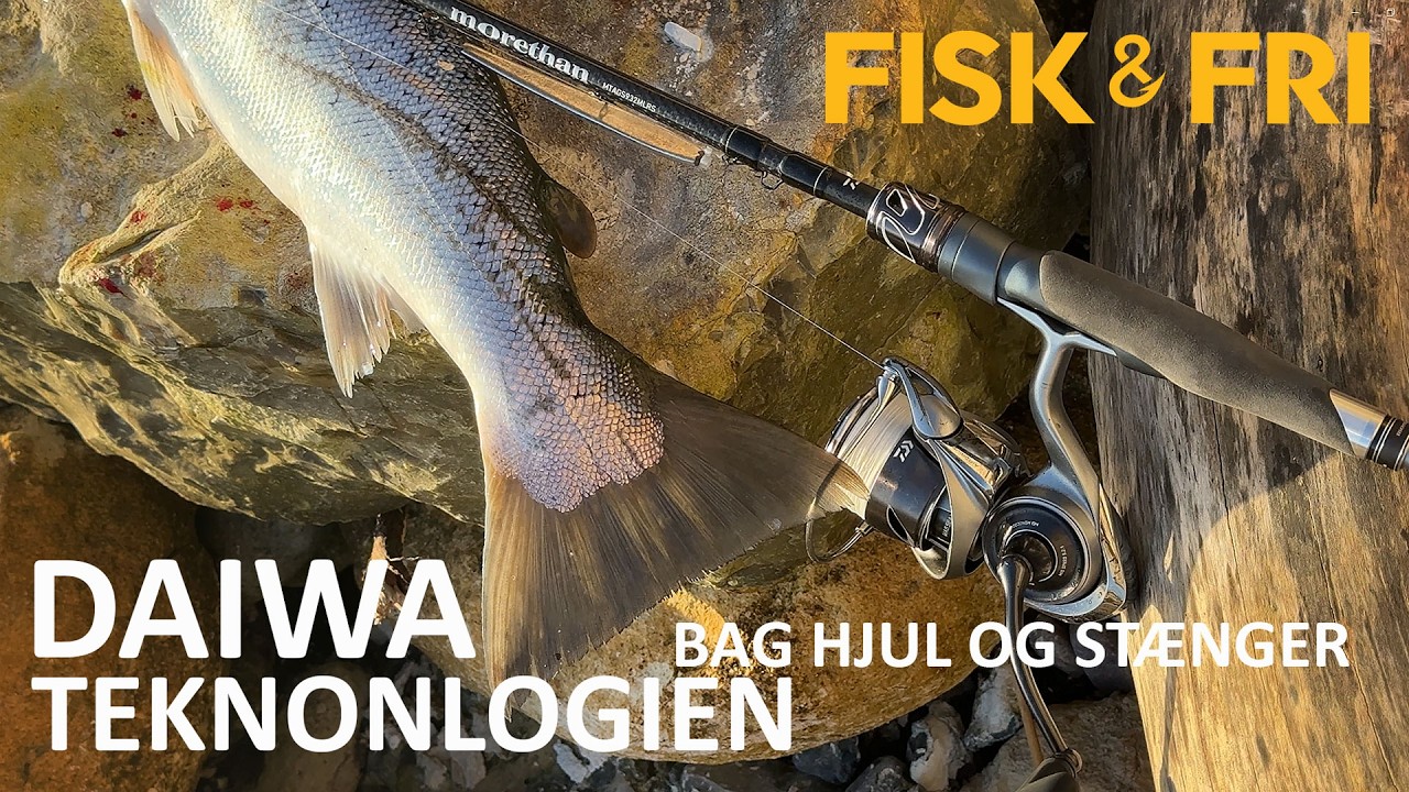 NY VIDEO: TEKNONOLGIEN BAG DAIWAS HJUL OG STÆNGER