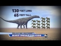 Biggest Dinosaur Ever Found: Giant Titanosaurus ...