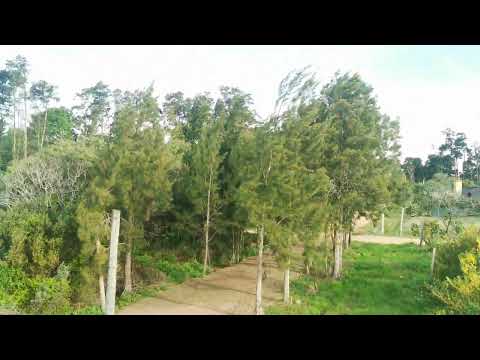 Video de YouTube - Terreno en venta Piedras del Chileno frente a la laguna