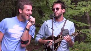 CARBON LEAF  Comfort